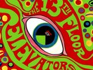 The 13th Floor Elevators - Psychedelic Sounds Of 2 x LP Vinyl Album NEW Record