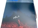 Phoebe Bridgers - Punisher Peacock Splash Blue Green LP Vinyl + SIGNED PRINT