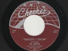 '54 Chicago R&B/DooWop EL RAYS (Dells) Darling I Know/Christine CHECKER VG+ HEAR