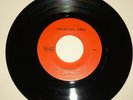 GARAGE BAND 45 RPM RECORD - CHANGING TIMES - VIBRA SOUND 121969