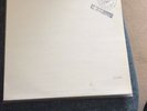 Fields Of The Nephilim - Chord Of Souls 12” Promo One Sided White Label Numbered