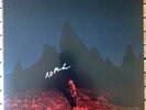 Phoebe Bridgers - Punisher Seaglass Wave LP LTD EDITION Vinyl + signed art print