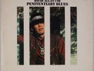 DAVID ALLAN COE: Penitentiary Blues US SSS Outlaw Country Rare 1st LP Vinyl