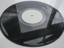 Twinkle Brothers, Never Get Burn, White Label ?– FLS 12712, Vinyl, 12