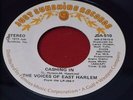 Voices Of East Harlem:   Cashing In   U.S  1973  Styrene   EX   7