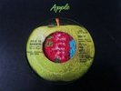 The Beatles Trash Promo Apple 45 record ROAD TO NOWHERE 1969 company sleeve