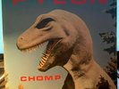 PYLON -CHOMP 1ST PRESSING WITH POSTCARD 1983  ATHENS GA ZIGZAG DIE CUT JACKET