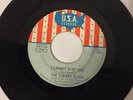 Cherry Slush Don’t Walk Away I Cannot Stop You VG+ U.S.A. garage psych