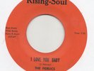 NORTHERN / SWEET SOUL -- FIDELICS -- I LOVE YOU BABY / LOVERS IN THE PARK