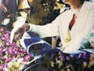 Paul Weller - Sunflower Mint 12” Vinyl