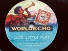 BRITISH DANCE: SAVOY PLAZA BAND - ‘CUTE LITTLE FLAT’ RARE 1929 ‘WORLDECHO’ 78