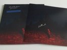 Phoebe Bridgers Punisher Peacock Splash Blue Green LP Vinyl + SIGNED PRINT