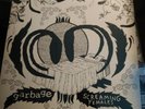 Garbage & Screaming Females 10