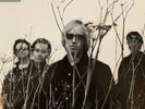 Tom Petty & the Heartbreakers 