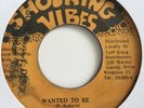 Little Kirk - Wanted To Be / Version SHOCKING VIBES 1987