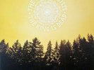 The Decemberists ?- The King Is Dead LP 180 Gram Vinyl Album - SEALED NEW Record