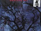 Amon Duul II - Phallus Dei LP - 180 Gram Colored Vinyl Album - SEALED NEW RECORD