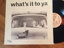What’s It To Ya rare orig. ‘75 Indiana private rural rock psych HUH M- shrink