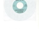 THE VULCANES PUBLIC RECORD #1 45 rpm record Garage Surf