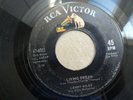 Lenny Miles 