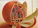 Ryo Kawasaki ?– Juice - LP 12