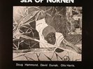 HAMMOND, Doug - Reflections In The Sea Of Nurnen - Vinyl (LP)