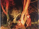 ECHO AND THE BUNNYMEN: Crocodiles US 1st Press Sire New Wave LP Vinyl