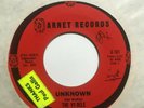 surf garage rock 45 THE VY-DELS Unknown  GARNET listen