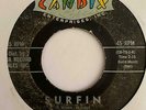 BEACH BOYS 45 Surfin/Luau Candix HEAR Rare