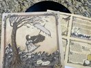 Lydia Illuminate Rare Black Vinyl /500