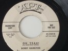 BOBBY HAMILTON - HOW COME / OH YEAH  - APT PROMO 25018. VG+