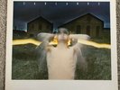 Cocteau Twins ?– Garlands Vinyl Record (4AD ?– CAD 211) UK 1982