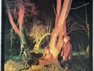 ECHO AND THE BUNNYMEN CROCODILES LP KOROVA UK 1980 EX CONDITION PRO CLEANED