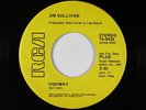 Folk Rock C&W 45 - Jim Sullivan - Highway - RCA - mp3