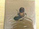 NEW OLD STOCK David Bazan Tooth and Nail PEDRO THE LION Whole EP Vinyl Record LP