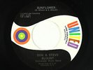 Folk Rock 45 - Don & Steve Blount - Sunflower - United Low Country - mp3