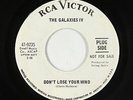 Garage Psych 45 - Galaxies IV - Don't Lose Your Mind - RCA Victor - VG++ mp3