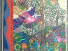 BOA CONSTRICTOR & A NATURAL VINE - Boa Constrictor...(1968) Vinyl LP Folk Rock
