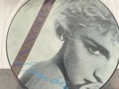 Madonna True Blue Picture Disc