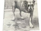 Alice In Chains Tripod Vinyl. Orginal Pressing