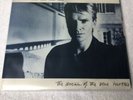 Sting..The Dream Of The Blue Turtles..MFSL 1-185..Original Master Recording..VG+