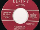 JAMES PETTY / SENDERS & COOL BREEZE Little Bitty Girl Ebony RARE R&B Blues 45