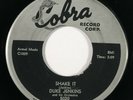 DUKE JENKINS Shake It / Where Can my Loved One Be Cobra Blues R&B 45 HEAR