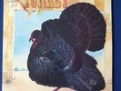 WILD TURKEY - Turkey  12