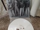 screeching weasel ramones lp nofx lillingtons riverdales queers