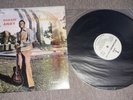 Horace Andy ?– Skylarking - Vinyl LP Album Record