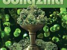 BONGZILLA - STASH NEW VINYL
