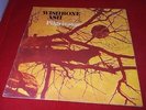 Wishbone Ash:  Pilgrimage  1973  A1/B2  1st pressing    LP   FULLY SIGNED