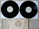 Devendra Banhart rejoicing in the hands/Nino royo Vinyl 2005'