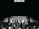 National - Boxer - LP Vinyl - New